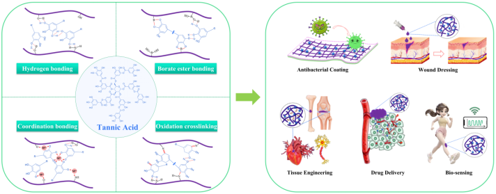 喜讯！伟德国际VICTOR1946刘阳课题组本科生在知名期刊Chemical Engineering Journal发表重要综述论文
